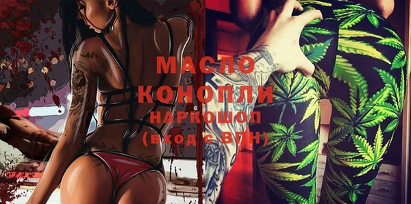 спиды Горняк