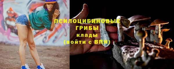 спиды Горняк