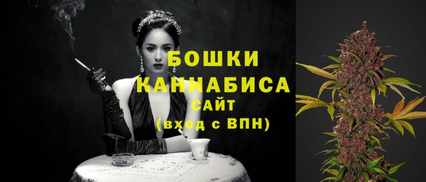 спиды Горняк