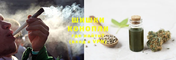 спиды Горняк