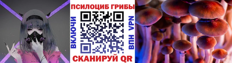 Купить закладки  Георгиевск  Псилоцибиновые грибы прущие грибы 